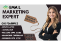 i-will-set-up-klaviyo-email-marketing-flows-and-automation-for-shopify-small-0