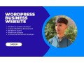 i-will-create-responsive-and-seo-friendly-wordpress-website-with-elementor-small-0