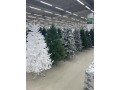christmas-tree-for-sale-small-2