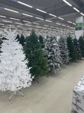christmas-tree-for-sale-big-2