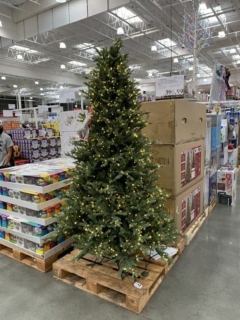 christmas-tree-for-sale-big-1