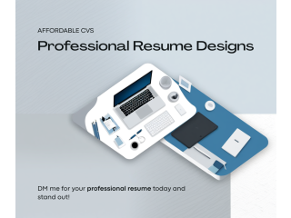 Professional Resume pro