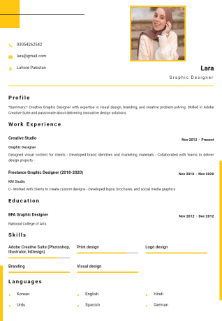 professional-resume-pro-big-2