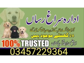 Army dog center mansehra