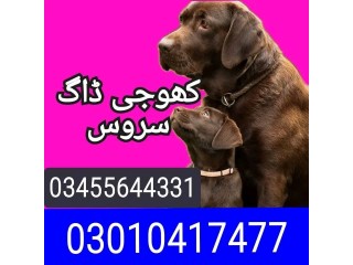 Army dog center abbottabad