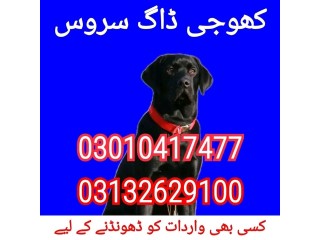 Army dog center rawalpindi