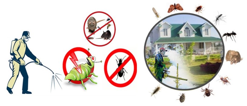 accurate-fumigation-service-karachi-big-0